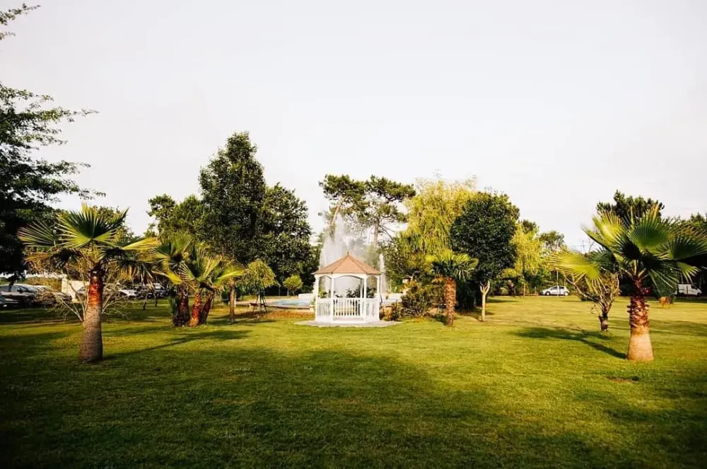 domaine (1)